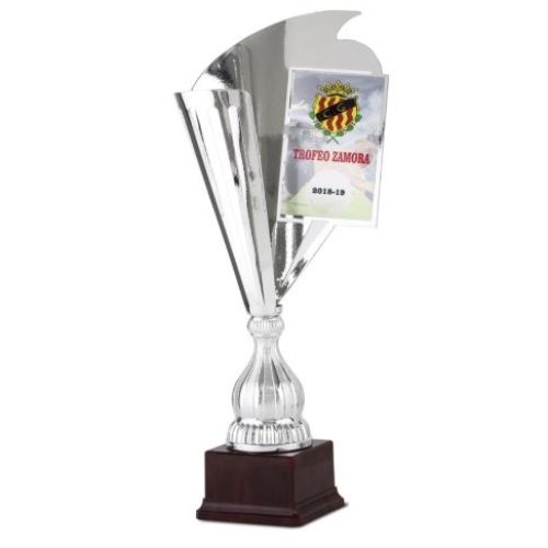 copa motivo